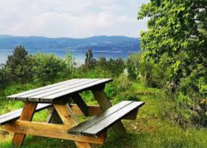 Sapanca Sahil Parkı piknik alanı